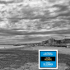 Rotonda sul mare - Senigallia 2019 TAG